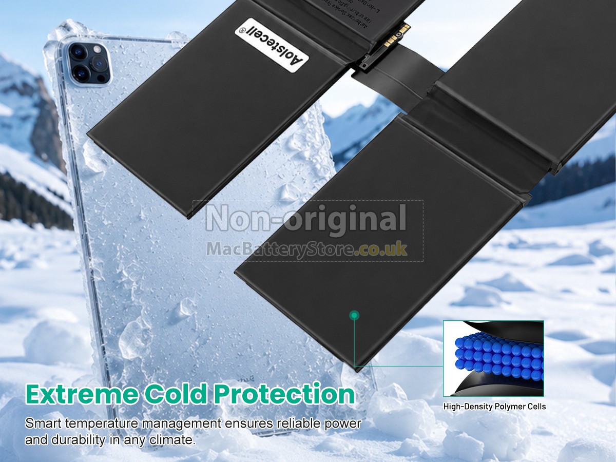 Apple iPad Pro 12.9inch 5TH GEN 2021 Battery Replacement